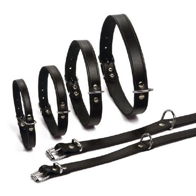 Halsband Beeztees Zwart Leer