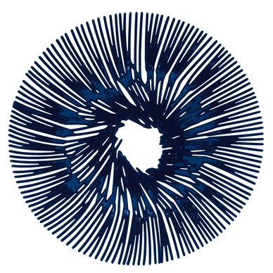 Schale Koziol Anemone Deep Velvet Blau