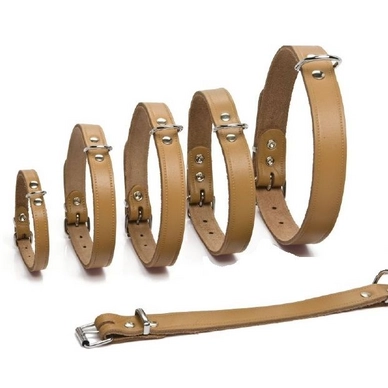 Halsband Beeztees Naturel Leer