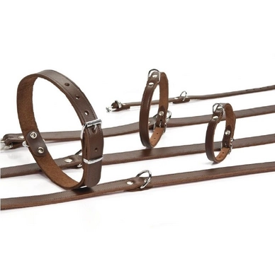 Halsband Beeztees Bruin Leer