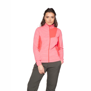 3610892_736_model_front-half_01