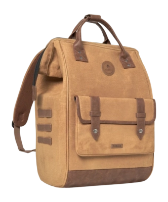 Bruin 3-_no-bg