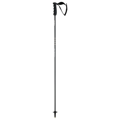 Bâton de ski HEAD Porsche Carbon Black / White / Anthracite
