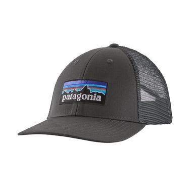 Pet Patagonia P-6 Logo LoPro Trucker Hat Forge Grey