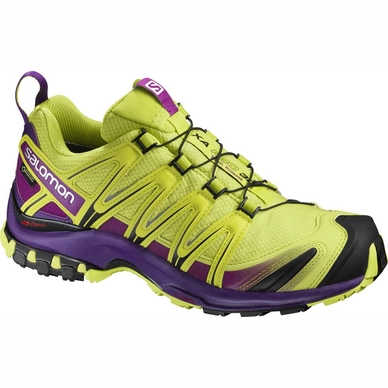 Trailrunningschuh Salomon XA Pro 3D GTX Lime Punch Damen Outdoorsupply