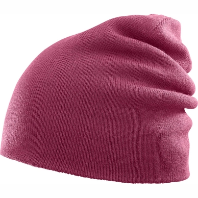 Beanie Salomon Fourax Beet Rot