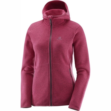 Salomon bise hoodie online