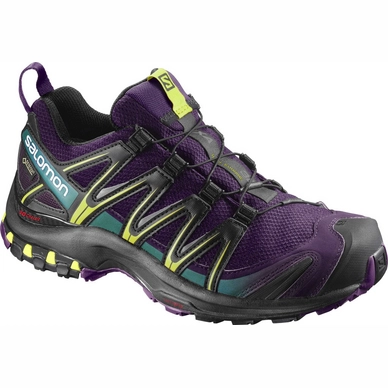 Trail Running Shoes Salomon XA Pro 3D GTX Women Acai Black