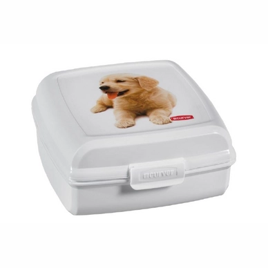 Bewaarbox Curver Multi Snap Vierkant Klein