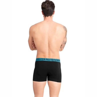 4---1010-SOLID-BACKnew
