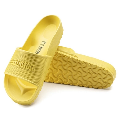 4---1019172_sole
