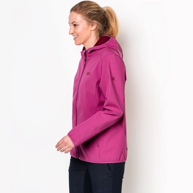 Jas Jack Wolfskin Women Northern Point Fuchsia