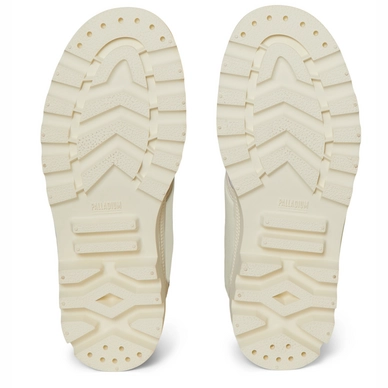4---22570_fossil_5 (1)