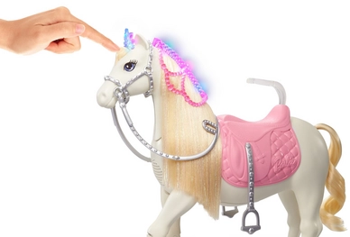 4---Barbie Paard en pop Princess Adventure (GML79)4