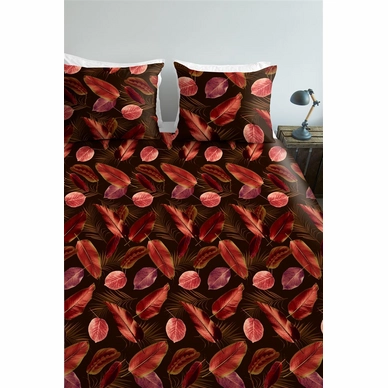 4---Cordyline_Red_NL_UV_200x200-220_60