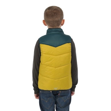 Winterjas Regatta Zipper II Antique Moss