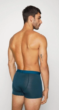 4---anatomica2