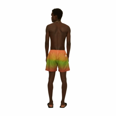 4---859_b8159636ed-reggae-air-swim-shorts_5001-292_f-original-_no-bg