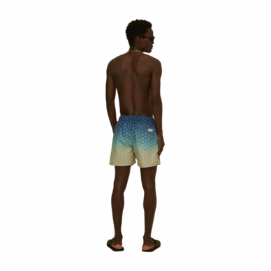 4---860_e42f5ebe47-polar-sky-swim-shorts_5001-293_f-original-_no-bg