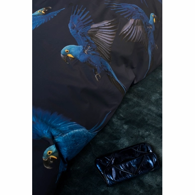 4---Blue_Parrot_2persoons_rgb-4056