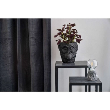 4---villa-collection-blumentopf-gorilla-schwarz-22-cm~3