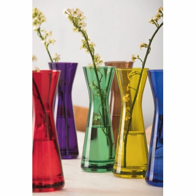 Vaas Schott Zwiesel Pure Color Paars