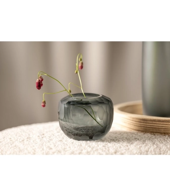 036444_2_k (1)