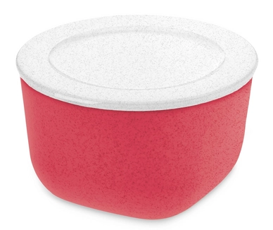 Lunchbox Koziol Connect Box 1 Schaal met Deksel 1 liter Organic Coral