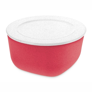 Lunchbox Koziol Connect Box 4 Schaal met Deksel 4 liter Organic Coral