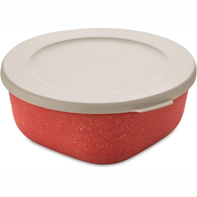 Frischhaltebox Koziol Bio-Circulair Connect Box Nature Coral 700 ml