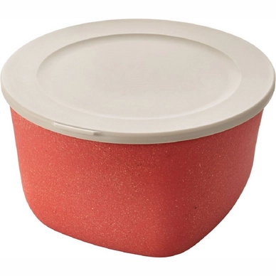 Boîte de Conservation Koziol Bio-Circulair Connect Box Nature Coral 1L