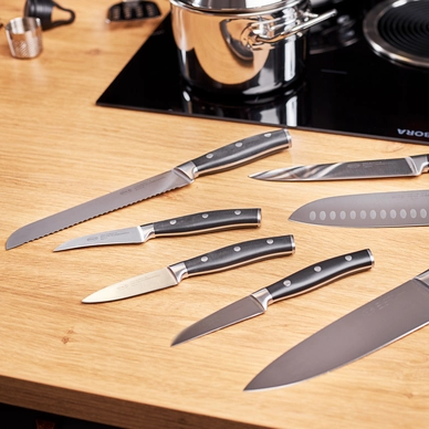 12101_03_Spickmesser_Tradition_9cm_6a455c0102c34e92b88bbb712a34591b