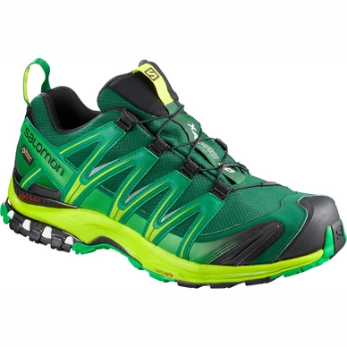 Chaussures de Trail Salomon Men XA Pro 3D GTX Rainforest