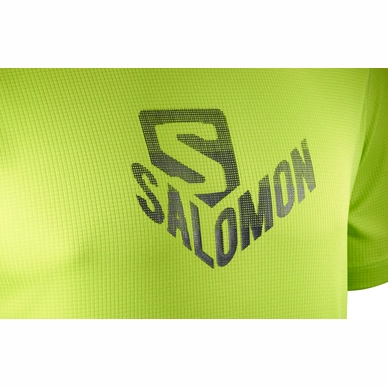 T-Shirt Salomon Men Stroll Graphic SS Acid Lime
