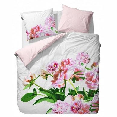 Taies d'oreiller Essenza Karin Multi Satin (50 x 75 cm)