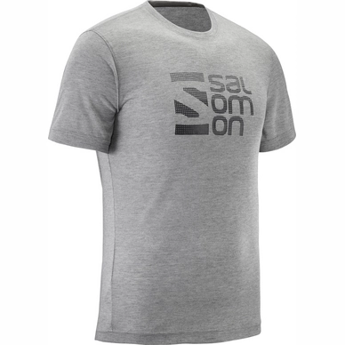 T-Shirt Salomon Men Explore Graphic SS Light Grey