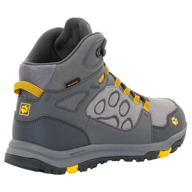 Wandelschoen Jack Wolfskin Men Activate Texapore Mid Burly Yellow Xt