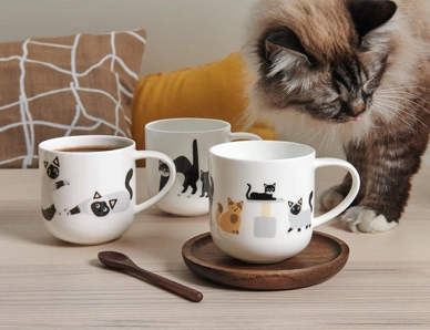 Coppa-Cats-Dogs-Pets-Animals-Teddy1_18f67d4e-1866-41b9-9a45-20a66a2e4ad2_900x