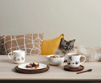 Coppa-Cats-Dogs-Pets-Animals-Teddy2_720x