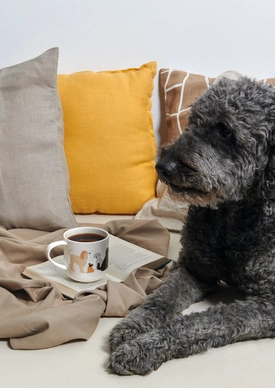 Coppa-Cats-Dogs-Pets-Animals-Bruno_342b1421-2430-44f9-ab8d-71fb4973ee3c_720x