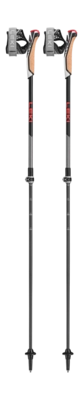 Nordic Walking stok Leki Instructor Lite Dark-Anthracite/Silver-Gray/Bright-Red - 100 / 125 cm