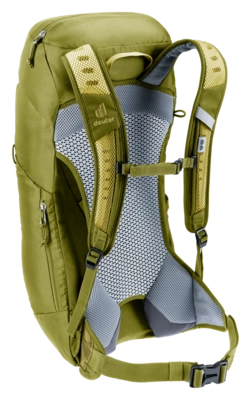 3420624-1206-ACLite16_linden_cactus-D-03@2x