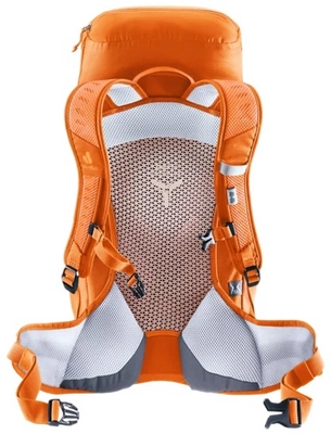 5---3420724-9912-ACLite22SL_peach_tuscany-D-01