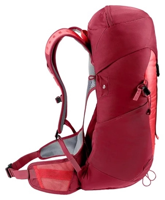5---3420824-5598-ACLite24_cherry_masala-D-02
