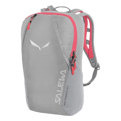 Backpack Salewa Kids Mountain Trainer 2 12L Alloy