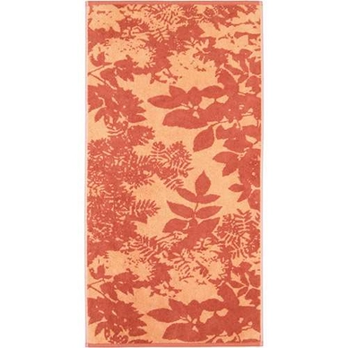 Serviette de Toilette Cawö Park Forest Brick (Lot de 3)