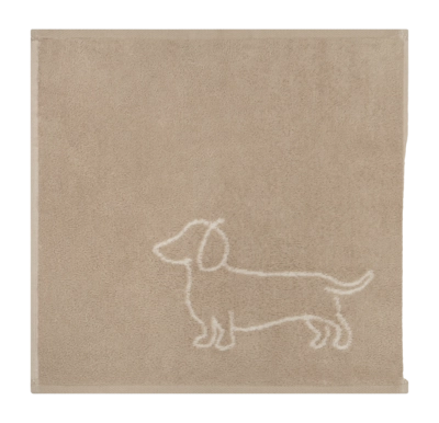 6249-33-Companion