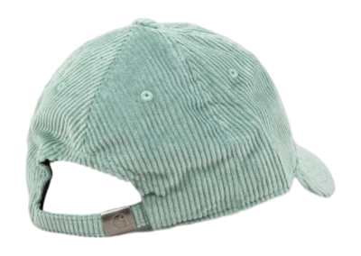 2---carhartt-wip-caps-harlem-cap-glassyteal-rueckenansicht-0566402_600x600-_no-bg