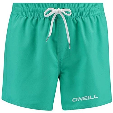 Badehose O'Neill Sun&Sea Salina Green Herren