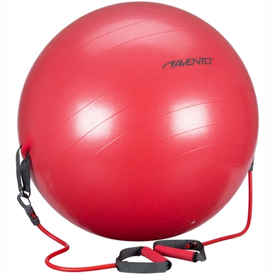 Gymbal Avento Met Elastieken Roze Grijs 65 cm